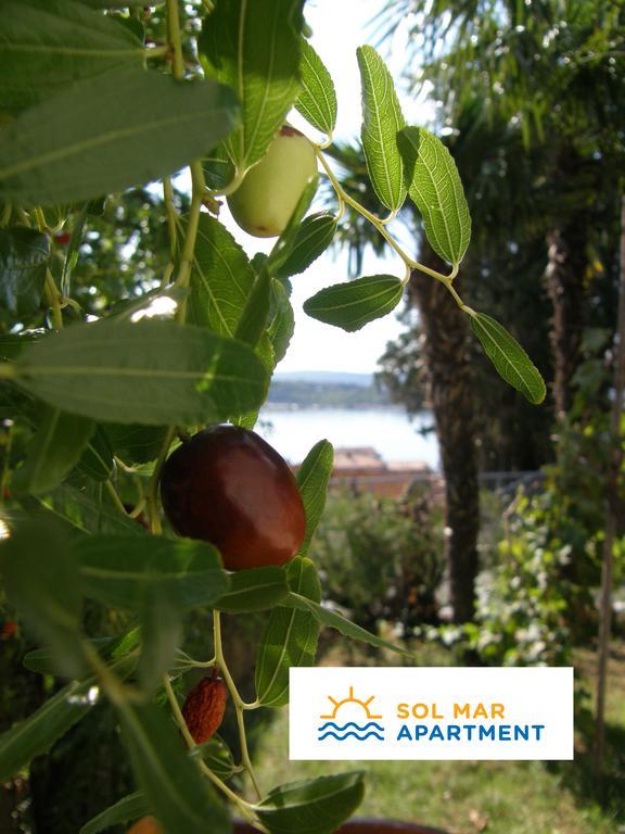Apartment Sol Mar ปอร์โตรอซ ภายนอก รูปภาพ